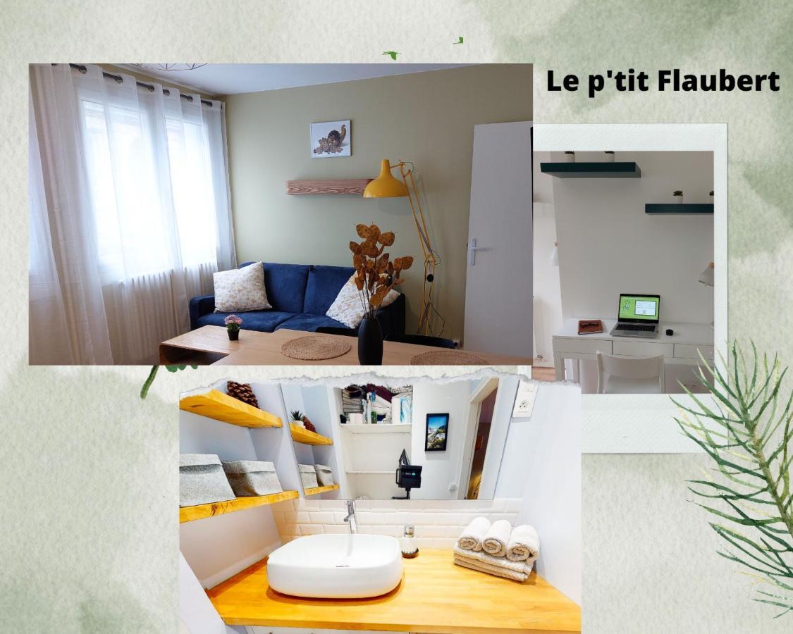 Le P'tit Flaubert- Quartier Coty Apartment *
